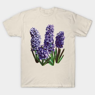 Hyacinths - Group of Purple Hyacinths T-Shirt